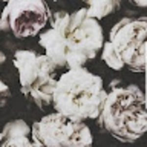 Meet your Posher, Erika